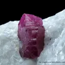 Ruby (Fluorescent) - image 2