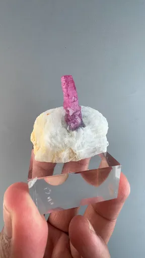 specimen video