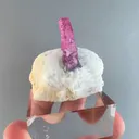 specimen video