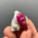 Ruby from Afghanistan - image 6