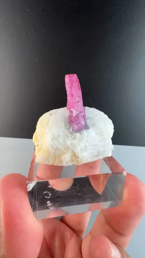 specimen video