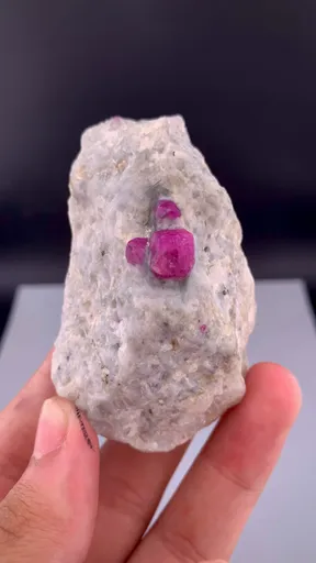 specimen video