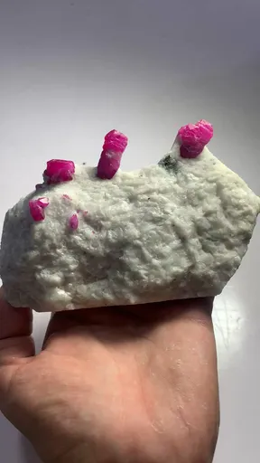 specimen video