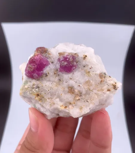 specimen video