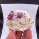 specimen video