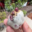 Ruby from Afghanistan, Kabul, Jegdalek ruby deposit - image 2