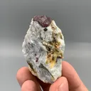 Ruby from Afghanistan, Kabul, Jegdalek ruby deposit - image 2