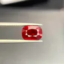 specimen video