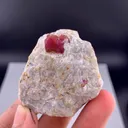 Ruby from Pakistan - image 6