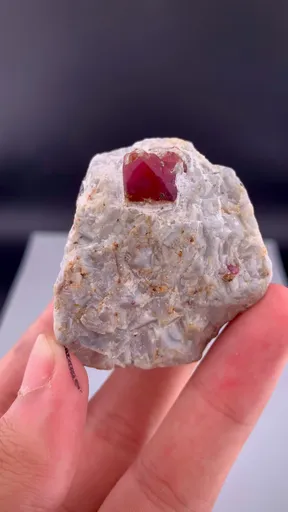 specimen video
