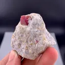 Ruby from Pakistan - image 7