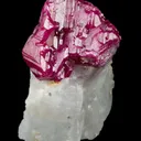 Ruby in Marble - image 3