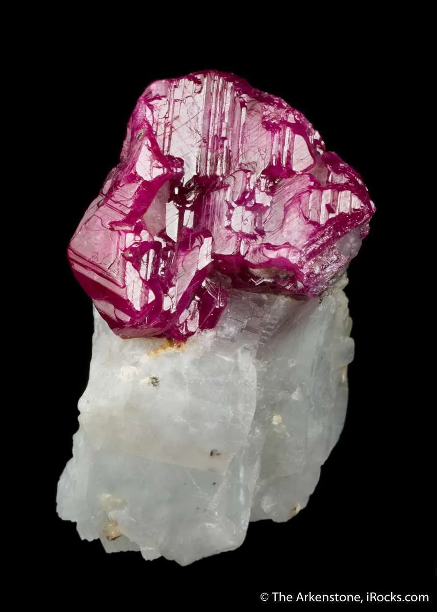 Ruby in Marble - image 3