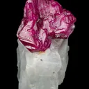 Ruby in Marble - image 2
