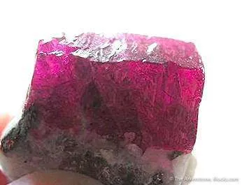 Ruby on Calcite image