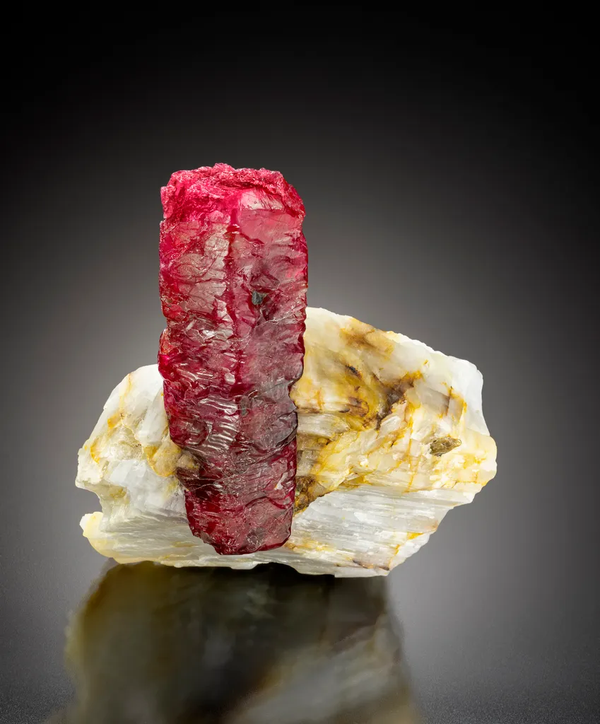 Ruby on Calcite image