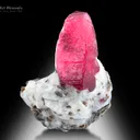 Ruby on Matrix from Afghanistan - image 2