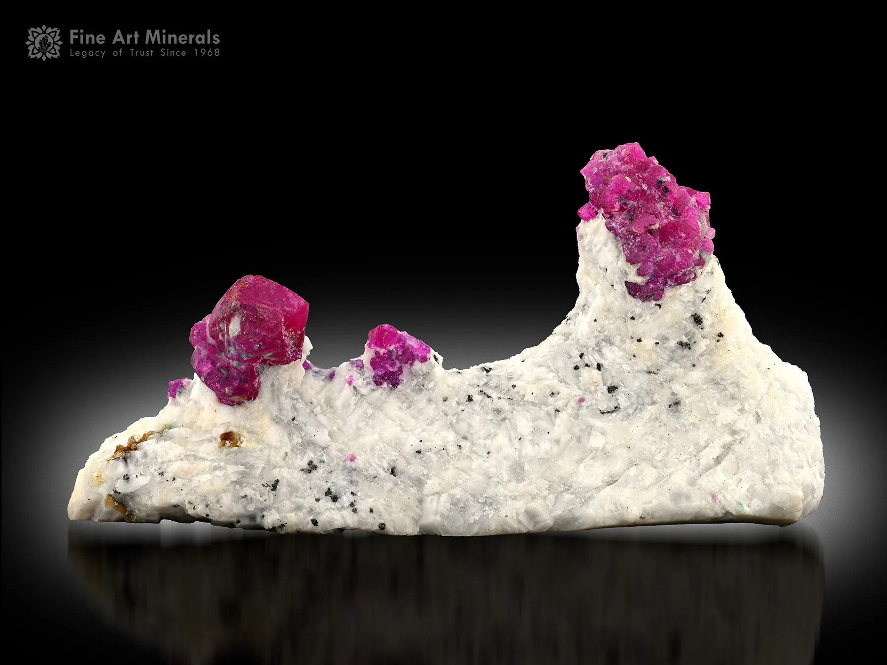 Ruby on Matrix from Pakistan - image 1