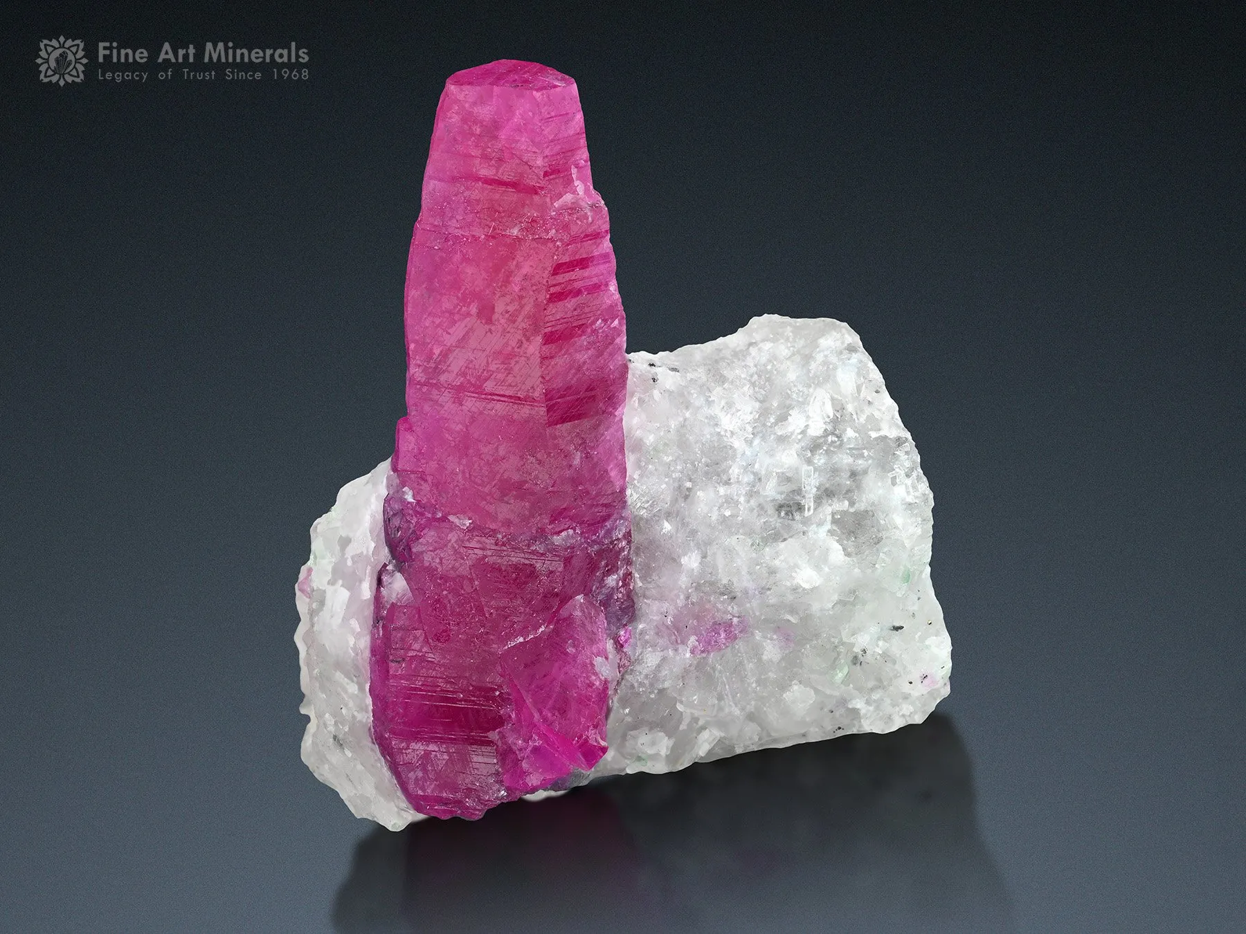 Ruby on Matrix from Pakistan - image 3