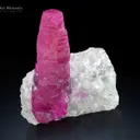 Ruby on Matrix from Pakistan - image 1
