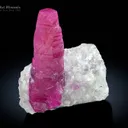 Ruby on Matrix from Pakistan - image 4