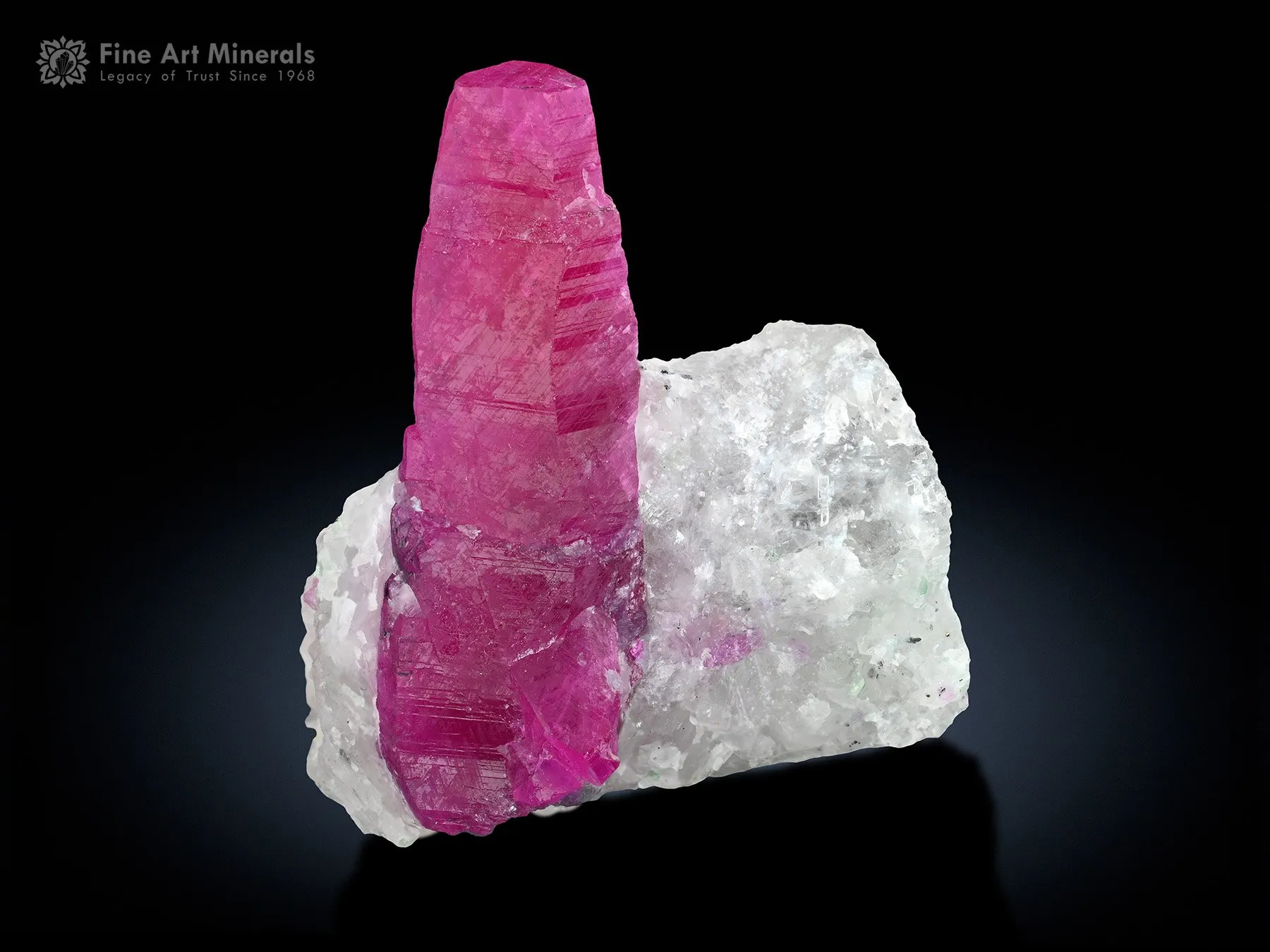 Ruby on Matrix from Pakistan - image 4