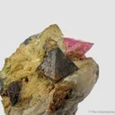 Ruby with Spinel (variety Gahnite) , circa 1800s - image 2