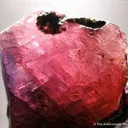 Ruby/Sapphire - image 4