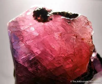 Ruby/Sapphire - image 4