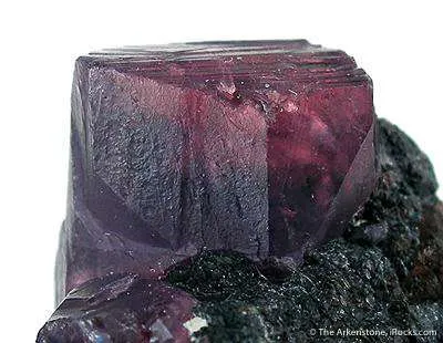 Ruby/Sapphire - image 2