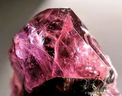 Ruby/Sapphire - image 3