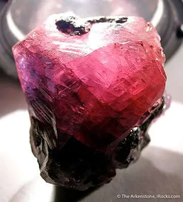 Ruby/Sapphire - image 2