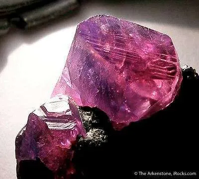 Ruby/Sapphire - image 3