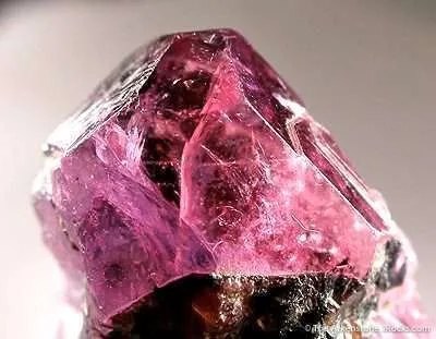 Ruby/Sapphire - image 2