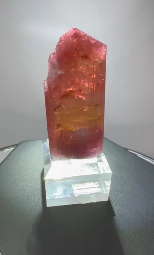 specimen video
