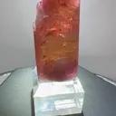specimen video