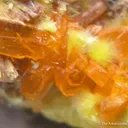 Rutherfordine With Billietite And Uranophane - image 1