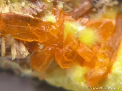 Rutherfordine With Billietite And Uranophane - image 1