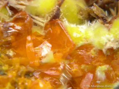 Rutherfordine With Billietite And Uranophane - image 2