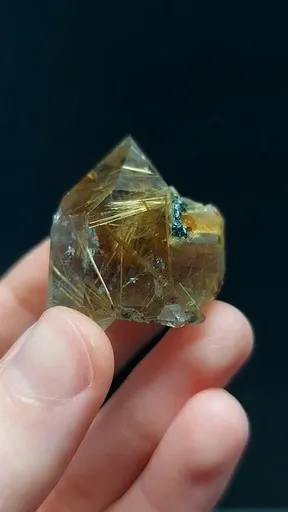 specimen video