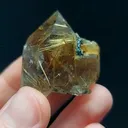 specimen video