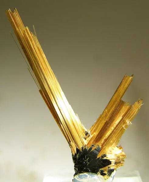 Rutile image