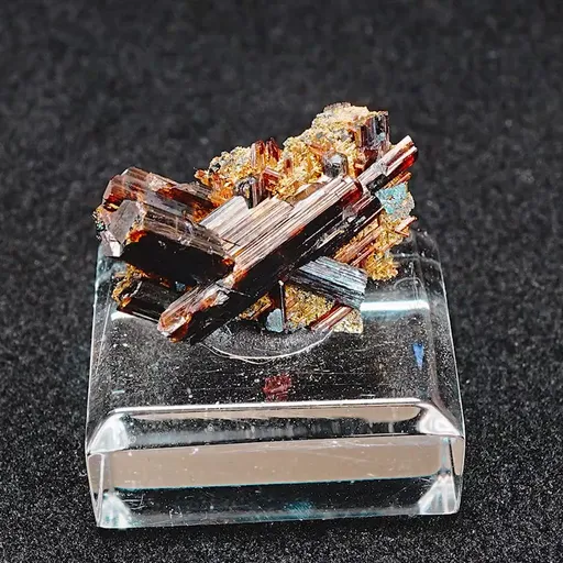 specimen video