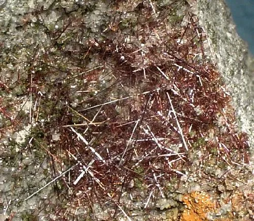 Rutile - image 2