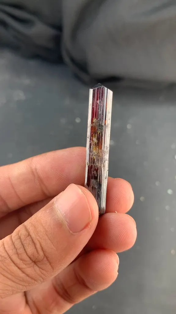 specimen video