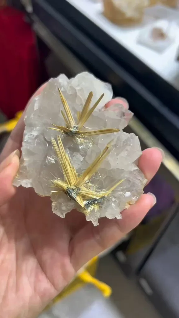 specimen video