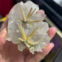 specimen video