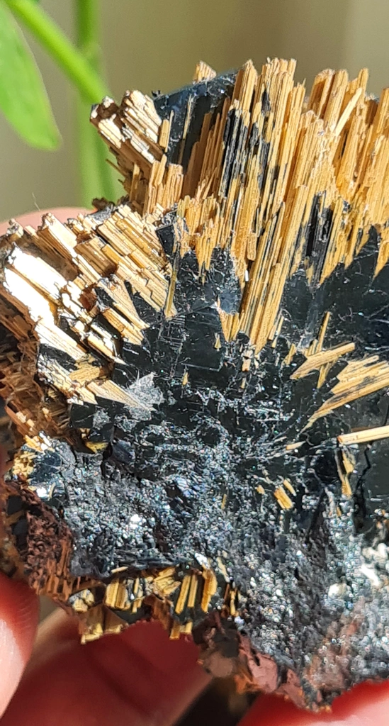 Rutile from Novo Horizonte, Bahia, Brazil - image 4