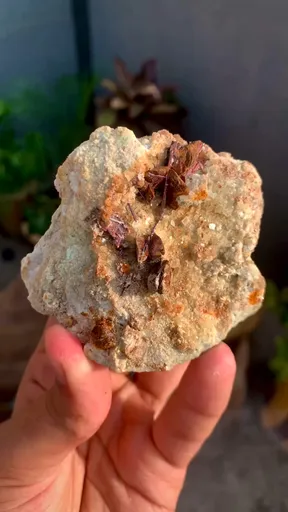 specimen video