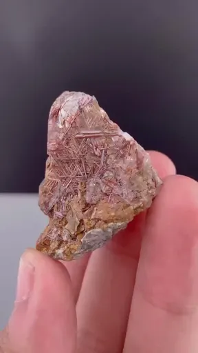 specimen video